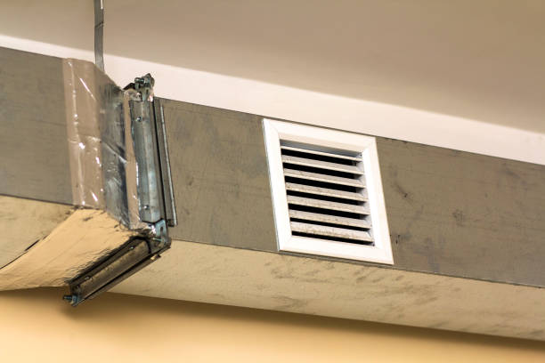 Best Professional Duct Cleaning Services  in Lake Ssota, WI
